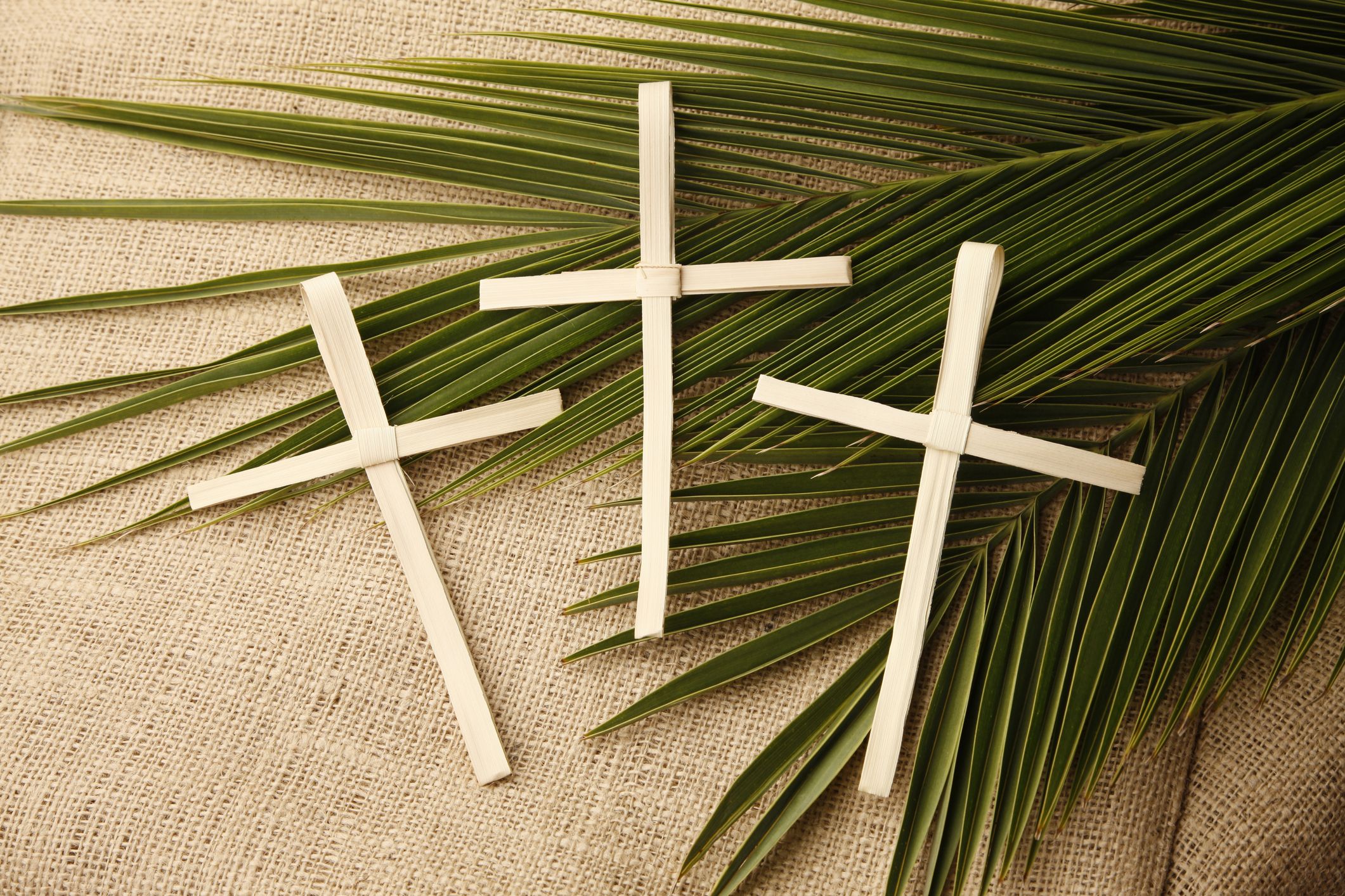 Palm Leaves Cross